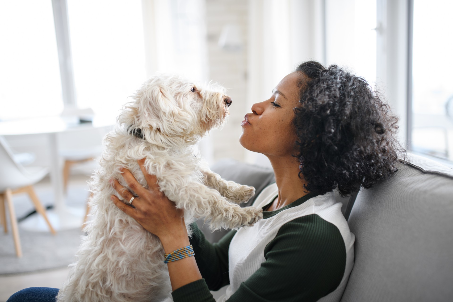 Portrait of happy mature woman sitting indoors at home, playing with dog.